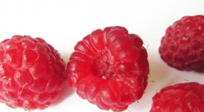 Малина - полезные свойства ягоды и вред